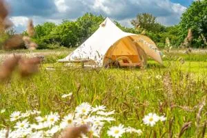Poppy at Blancas Bell Tents - Ringstead