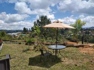 Chalet las palmas Poblado