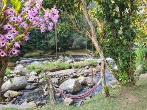 Brilho do Sol - Lumiar