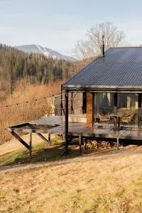 Mirest - котеджі в горах із чаном-джакузі - Verkhnyaya Rozhanka