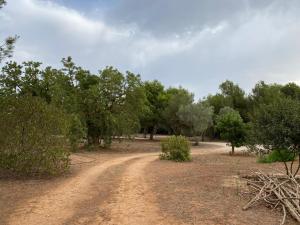 Casa Nika finca de campo Menorquina con piscina