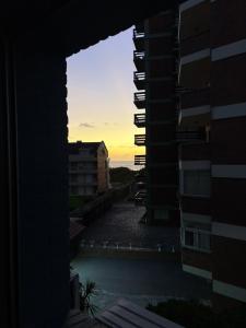 Le Petit Pinamar 213