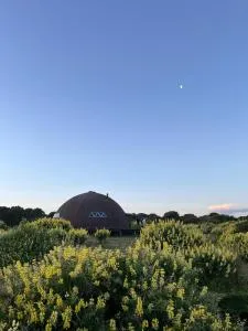 Domo cucao - Chonchi