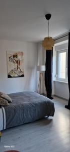 Appartements Cosy Appartement Complet centre-ville Montbeliard : photos des chambres