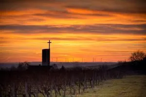 Privatzimmer in WG für 4 Personen - Hackenheim