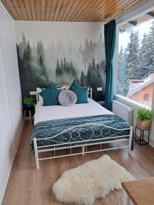 Sky view Ranca-Transalpina