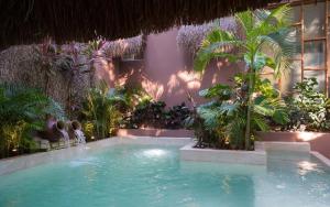 Jungle Villa -steps to the beach and restaurants!