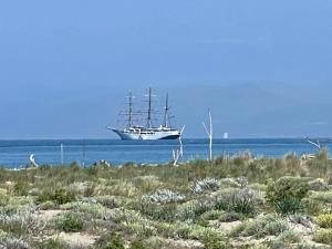 Lovely Versilia