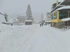 EAA Vlašić - 弗拉西克