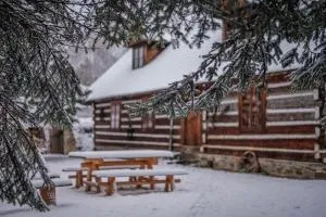 Przystanek Ropienka Chata Łemkowska - Brelików