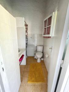 Appartements Charmant studio a Linguizzetta 23 m² avec terrasse privative : photos des chambres