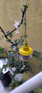 Hostel Aprisco São Paulo