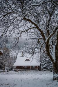 Przystanek Ropienka Leśniczówka