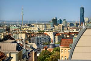Jimmys Apartments Dandelion