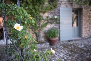 Villas Mas exceptionnel a Lagnes, Provence : photos des chambres