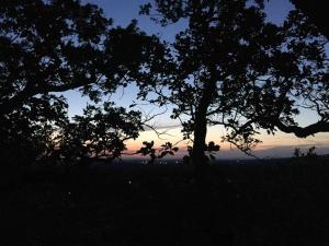 Villas Mas exceptionnel a Lagnes, Provence : photos des chambres