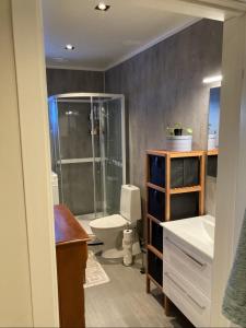 Aurora Borealis Studio Apartment Tromsø