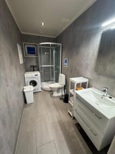 Aurora Borealis Studio Apartment Tromsø