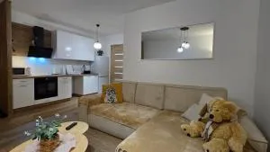 Apartamenty Paderewski II - 杰尔若纽夫