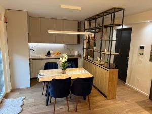 Luxury apartment Gabi 1