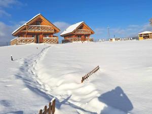 Domki pod Czarną Górą