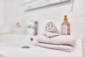 Appartements Magnifique Appartement dans le Centre-Ville de Reims, Proche de la Gare et des Commodites : photos des chambres