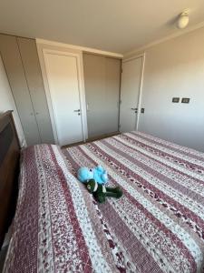 Hermoso departamento en Viña del Mar