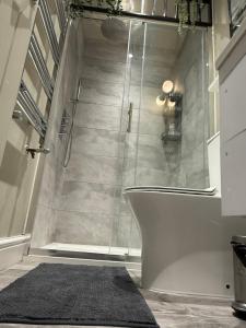 Stylish 1 Bed flat in Fulham