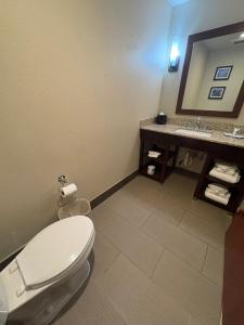 Superior Family Suite - Non-Smoking room in Comfort Suites Near Denver Downtown