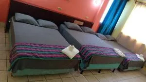 Hotel Green Monkey - San Ignacio