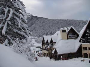 Chalets Chalet Clementine : photos des chambres