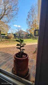 Appartements Appartement avec jardin a Saint Jean d-Illac : photos des chambres