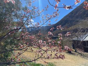 Cabaña Mirador Del Cielo Potrerillos