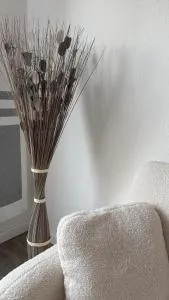 Le cosy Parking gratuit piscine terrain de tennis - Castelginest