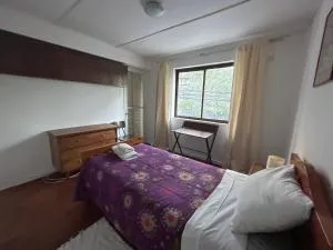 Alojamiento a pasos del parque ecuador centro de concepcion - Manquimávida