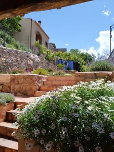 Apartamentos bioclimáticos El Mirlo Azul