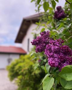 Architekten-Villa, moderne 220qm, 4 Schlafzimmer, Garten