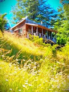 Refugio de Montaña Kultrun Mawida, Cabaña Mirador WIFI - 库拉考廷