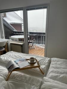 Gemütliche Ferienwohnung Harz Braunlage Hohegeiß