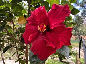 Cozy escape, lake view