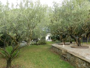 Maisons de vacances Domaine 669, 