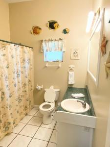 Studio-Bay access-Pet friendly