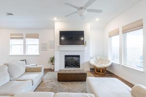 Southern Luxery Private Yard Tesla Plug BBQ Grill