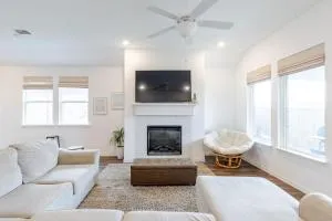 Southern Luxery Private Yard Tesla Plug BBQ Grill - 艾索