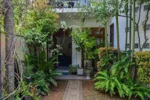 Browns Hill Bliss - Rilamulla