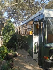 Bus Torino - a dream