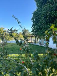 Estância Paganini Suite