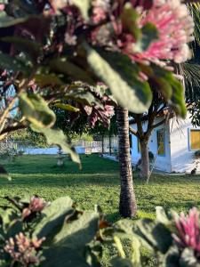 Estância Paganini Suite