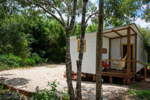 Vila Grossi - Bichinho