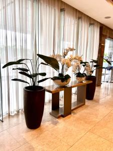 Sofias Haven - Shore 3 Residences T1